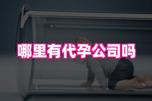 长春助孕网站 1