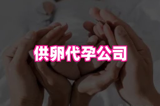 长春助孕网站 2